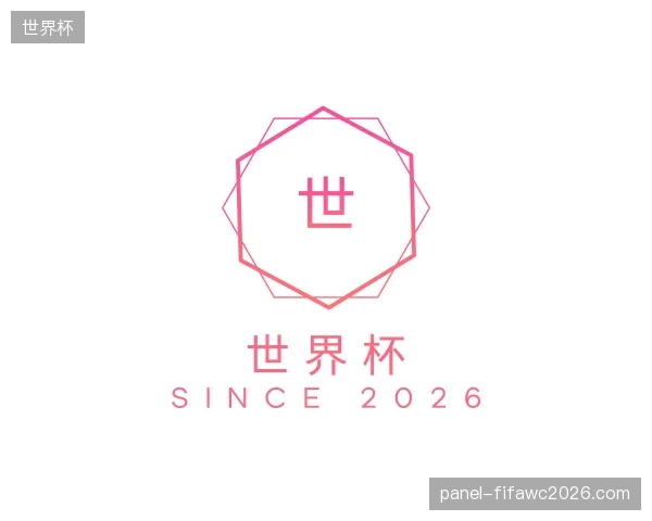 了解世界杯团队